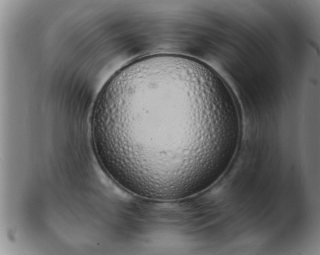 X0000103501341200809191937