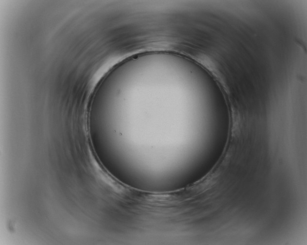 X0000103501342200809191937