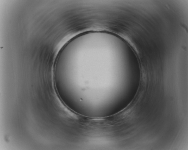 X0000103501343200809191937