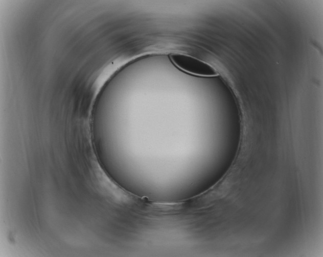 X0000103501344200809191937