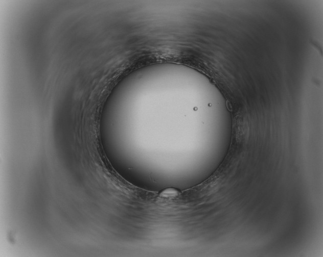 X0000103501345200809191936