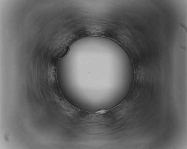 X0000103501346200809191936