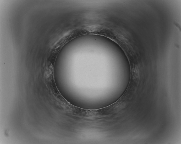 X0000103501349200809191936