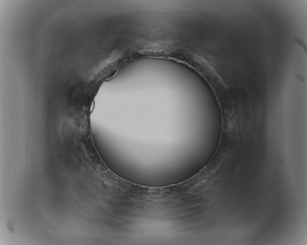 X0000103501350200809191936