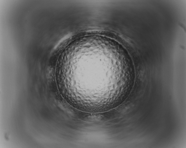 X0000103501351200809191936