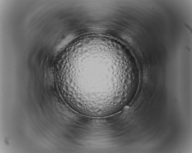 X0000103501354200809191936