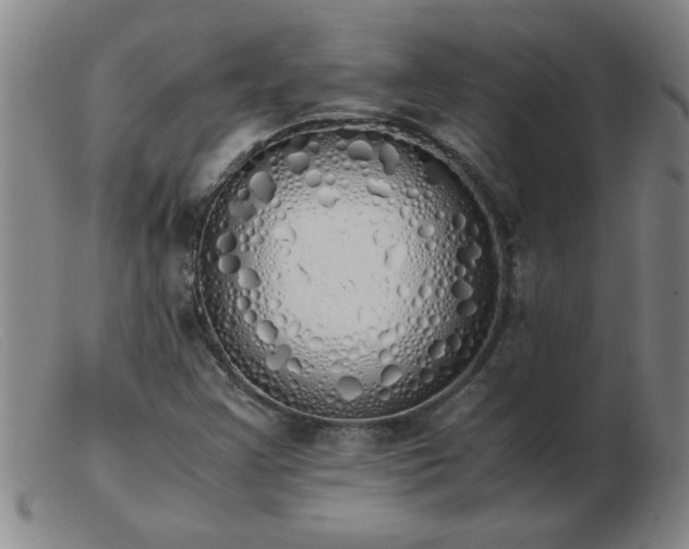 X0000103501355200809191936