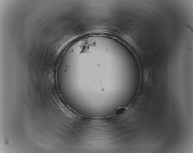 X0000103501356200809191936