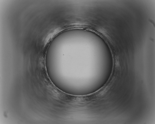 X0000103501357200809191936