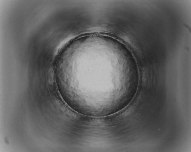 X0000103501358200809191936