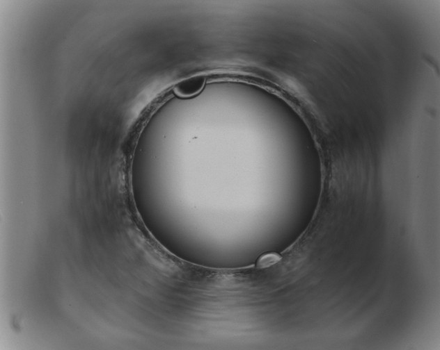 X0000103501360200809191936