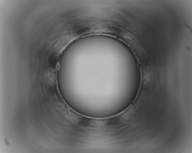 X0000103501361200809191936