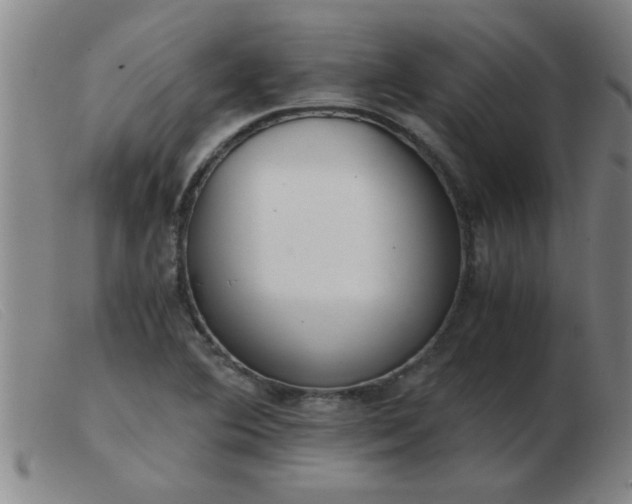 X0000103501364200809191936