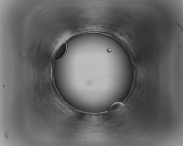 X0000103501365200809191936