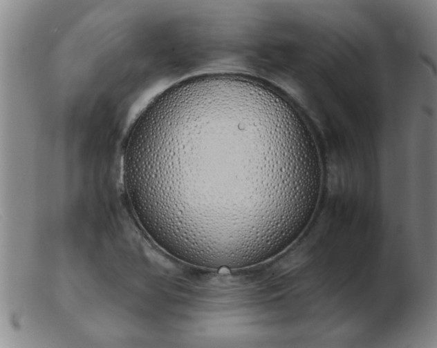 X0000103501366200809191935