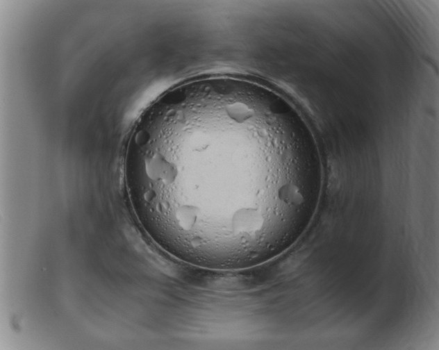 X0000103501367200809191935