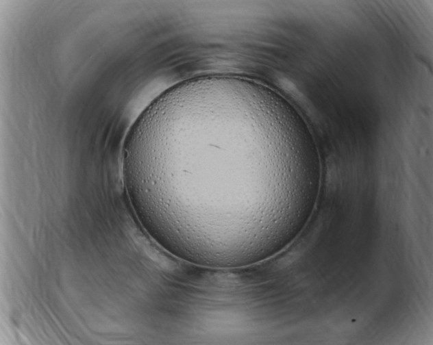 X0000103501370200809191935