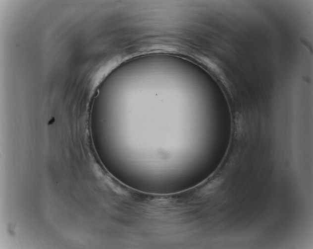 X0000103501373200809191935