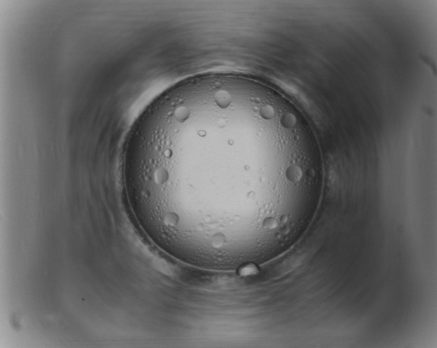 X0000103501375200809191935