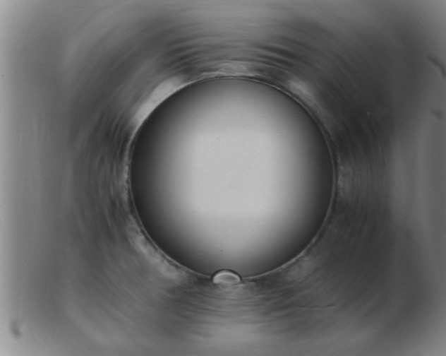 X0000103501378200809191935