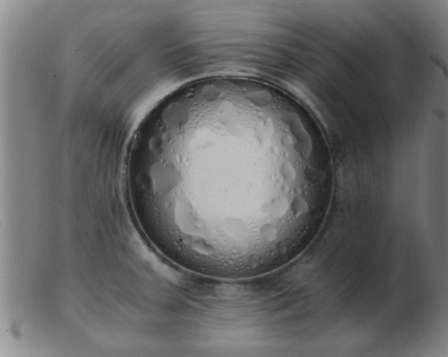 X0000103501379200809191935