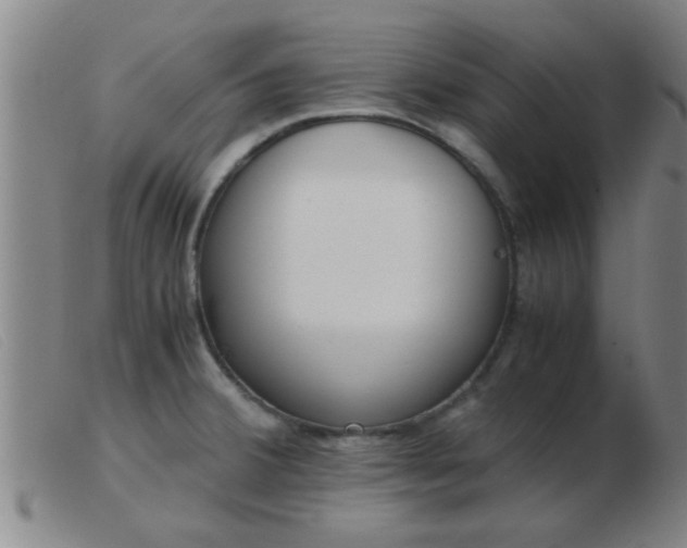 X0000103501380200809191935