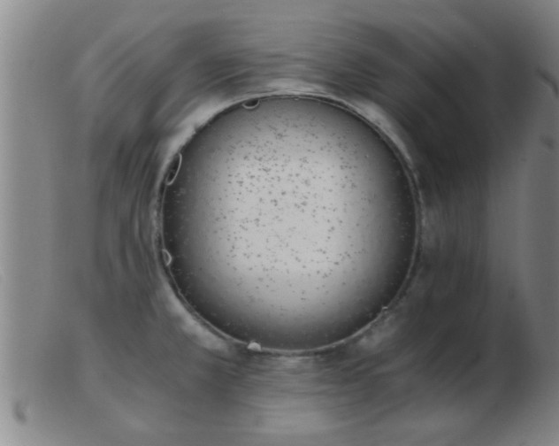 X0000103501381200809191935