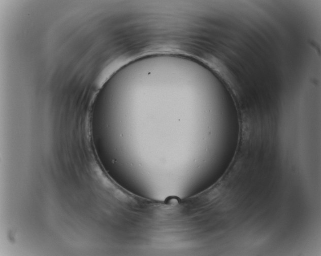 X0000103501382200809191935