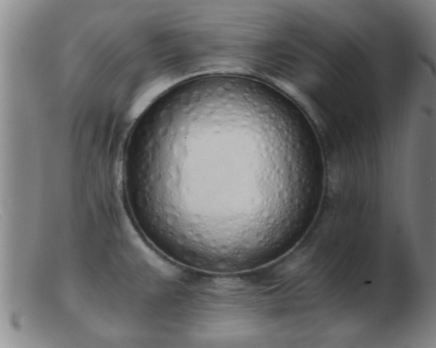 X0000103501383200809191935