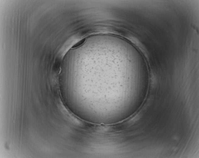 X0000103501385200809191935