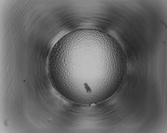 X0000103501386200809191935