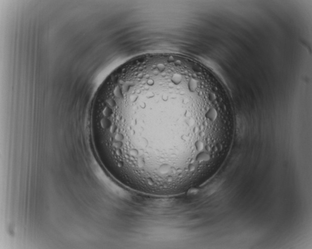 X0000103501387200809191935