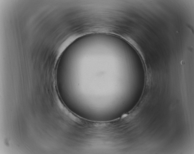 X0000103501389200809191935