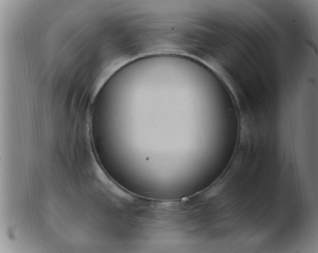 X0000103501390200809191935