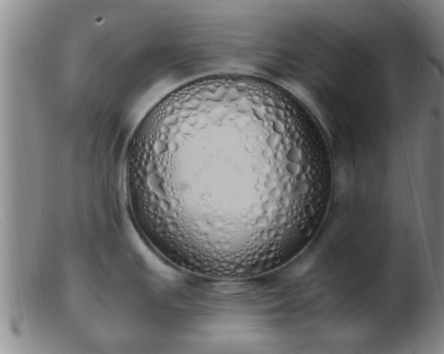 X0000103501391200809191935