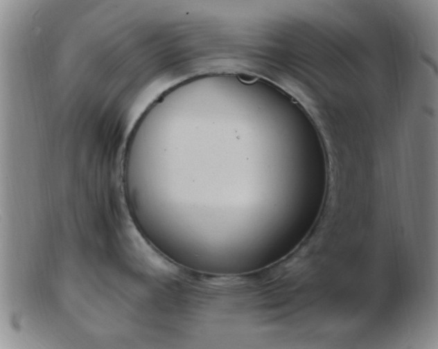 X0000103501392200809191935