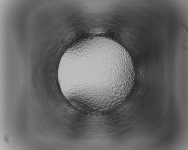 X0000103501393200809191934