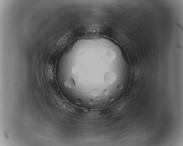 X0000103501394200809191934