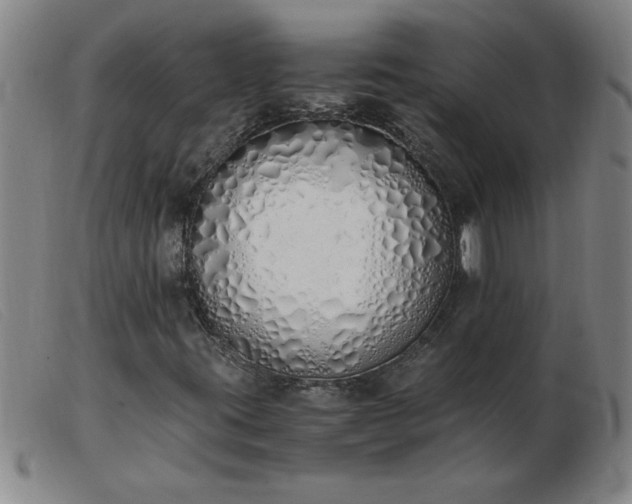 X0000103501395200809191934