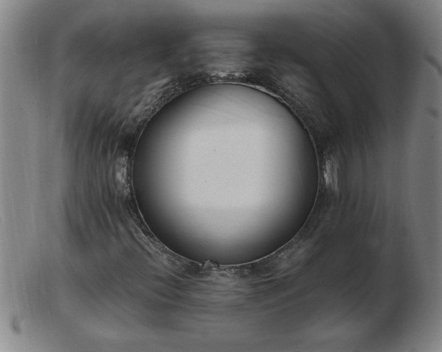 X0000103501396200809191934