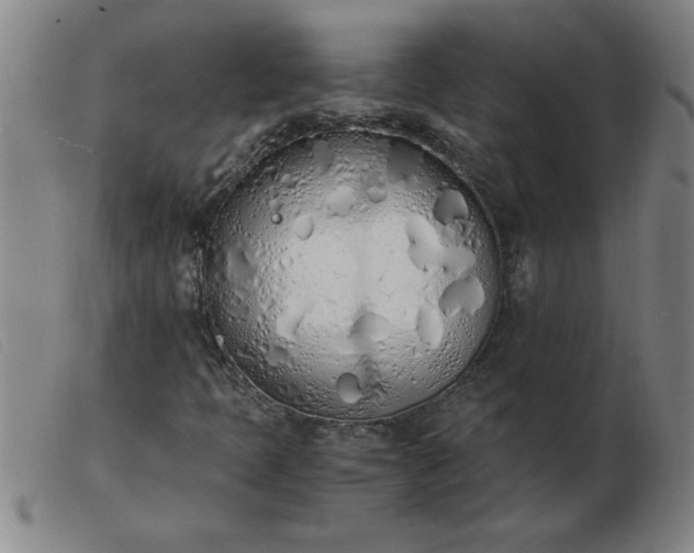 X0000103501397200809191934