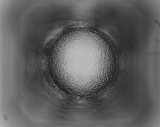 X0000103501399200809191934