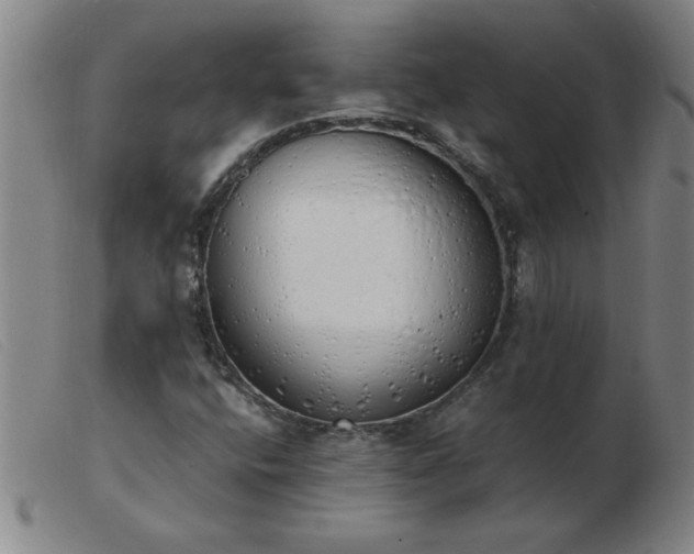 X0000103501400200809191934