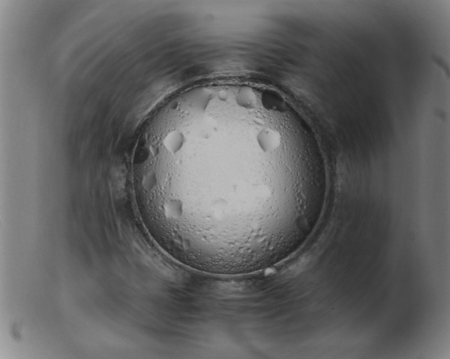 X0000103501401200809191934