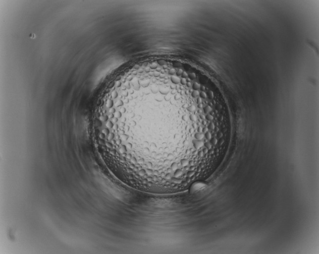 X0000103501402200809191934