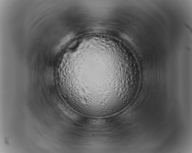 X0000103501403200809191934