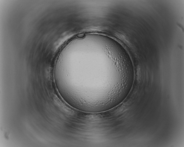 X0000103501404200809191934