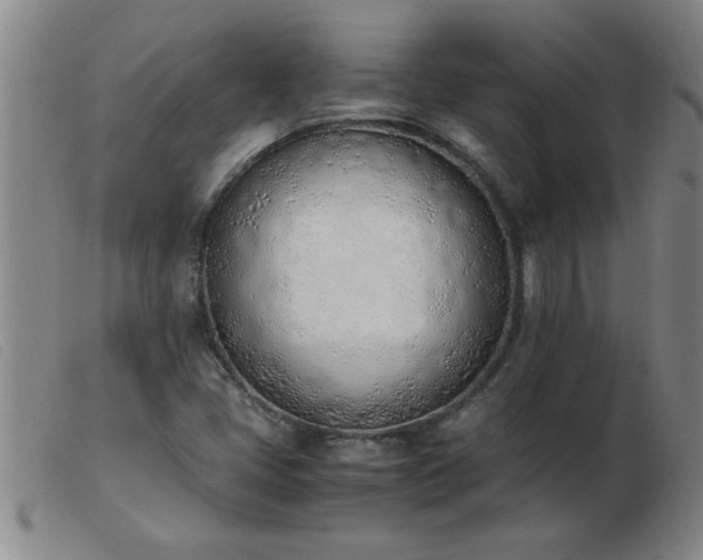 X0000103501405200809191934