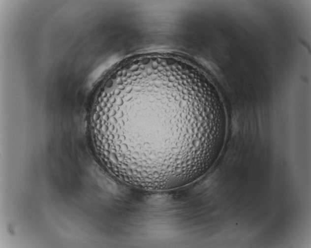 X0000103501406200809191934