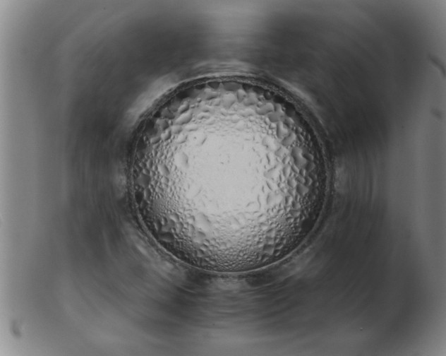 X0000103501407200809191934